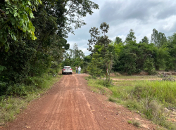 ขายด่วน!!! ที่ดินอุบลฯ ถูกกกกมาก 5 ไร่ เพียง 800,000 บาท (( ที่ดินสวย ท