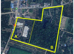 อสังหาริมทรัพย์ - สำนักงาน,โรงงาน