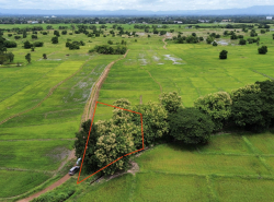 รถมือสอง อสังหาริมทรัพย์ ที่ดิน ปี 0 