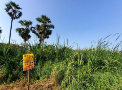 รถมือสอง อสังหาริมทรัพย์ ที่ดิน ปี 0 