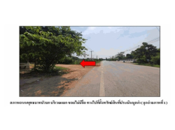 ขายบ้านเดี่ยวมือสอง อำเภอบ้านผือ จังหวัดอุดรธานี โครงการ ชลภัทร 2