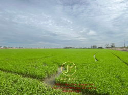 รถมือสอง อสังหาริมทรัพย์ ที่ดิน ปี 0 