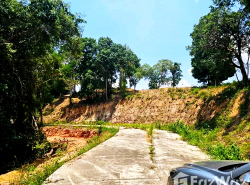 รถมือสอง อสังหาริมทรัพย์ ที่ดิน ปี 0 