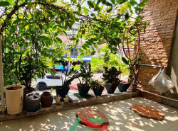 รถมือสอง อสังหาริมทรัพย์ ทาวน์เฮาส์ทาวน์โฮม ปี 0 