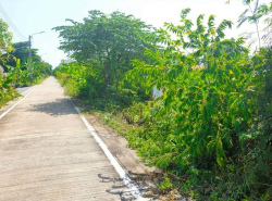 รถมือสอง อสังหาริมทรัพย์ ที่ดิน ปี 0 