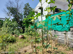 รถมือสอง อสังหาริมทรัพย์ ที่ดิน ปี 0 