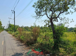 รถมือสอง อสังหาริมทรัพย์ ที่ดิน ปี 0 