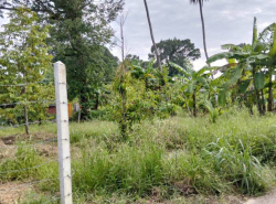 รถมือสอง อสังหาริมทรัพย์ ที่ดิน ปี 0 