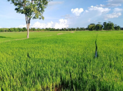 รถมือสอง อสังหาริมทรัพย์ ที่ดิน ปี 0 