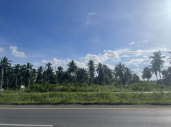 ขายที่ดินทำเลติดถนนใหญ่ หน้ากว้าง 112 เมตร ใกล้เซ็นทรัลสุราษฎร์