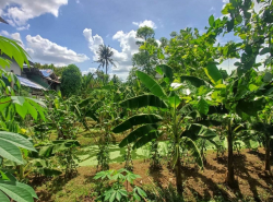 รถมือสอง อสังหาริมทรัพย์ ที่ดิน ปี 0 