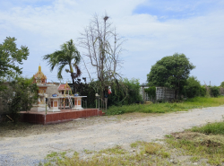 รถมือสอง อสังหาริมทรัพย์ ที่ดิน ปี 0 