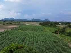 รถมือสอง อสังหาริมทรัพย์ ที่ดิน ปี 0 