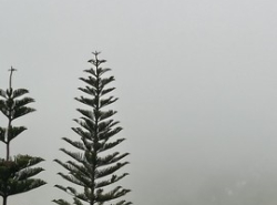 รถมือสอง อสังหาริมทรัพย์ ที่ดิน ปี 0 