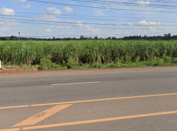 รถมือสอง อสังหาริมทรัพย์ ที่ดิน ปี 0 