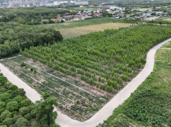 รถมือสอง อสังหาริมทรัพย์ ที่ดิน ปี 0 