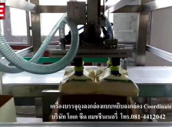 ขายเครื่องบรรจุสินค้าลงกล่อง แบบหยิบลงกล่อง Cordinated Robot Packing M