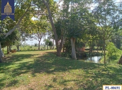 ขายที่ดินพร้อมบ้านสวน บรรยากาศดี นาจอมเทียน สัตหีบ 2-3-40 วา