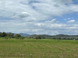 รถมือสอง อสังหาริมทรัพย์ ที่ดิน ปี 0 
