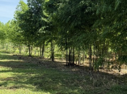 รถมือสอง อสังหาริมทรัพย์ ที่ดิน ปี 0 