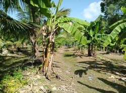 รถมือสอง อสังหาริมทรัพย์ ที่ดิน ปี 0 