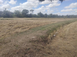 รถมือสอง อสังหาริมทรัพย์ ที่ดิน ปี 0 