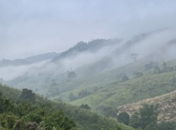 รถมือสอง อสังหาริมทรัพย์ ที่ดิน ปี 0 