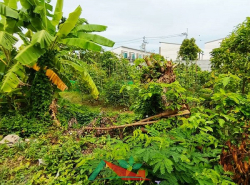 รถมือสอง อสังหาริมทรัพย์ ที่ดิน ปี 0 