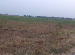 รถมือสอง อสังหาริมทรัพย์ ที่ดิน ปี 0 