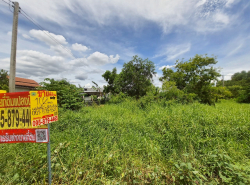 รถมือสอง อสังหาริมทรัพย์ ที่ดิน ปี 0 