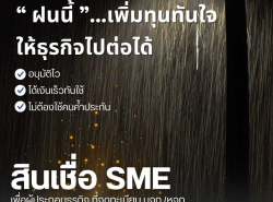 ตกแต่งบ้านและสวน - ผ้าม่าน