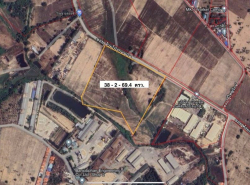 อสังหาริมทรัพย์ - ที่ดิน