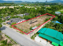 ด่วนขาย ที่ดินแปลงสวยติดถนน ศรีราชา-หนองค้อ 41/3 ใกล้สวนเสือ TP-L0784