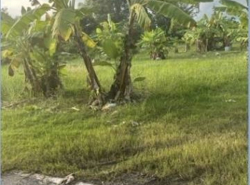 รถมือสอง อสังหาริมทรัพย์ ที่ดิน ปี 0 