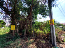 รถมือสอง อสังหาริมทรัพย์ ที่ดิน ปี 0 