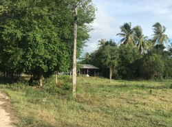 รถมือสอง อสังหาริมทรัพย์ ที่ดิน ปี 0 
