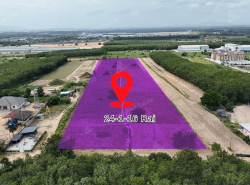 รถมือสอง อสังหาริมทรัพย์ ที่ดิน ปี 0 