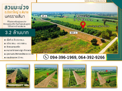 ขายที่ดิน พร้อมสวนมะม่วง  อยู่ในชุมชนบ้านรังกาใหญ่ อ.พิมาย