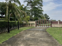 รถมือสอง อสังหาริมทรัพย์ ที่ดิน ปี 0 