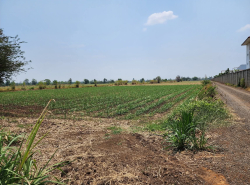 รถมือสอง อสังหาริมทรัพย์ ที่ดิน ปี 0 