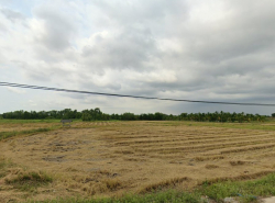 รถมือสอง อสังหาริมทรัพย์ ที่ดิน ปี 0 