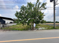 รถมือสอง อสังหาริมทรัพย์ ที่ดิน ปี 0 