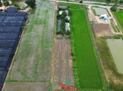 รถมือสอง อสังหาริมทรัพย์ ที่ดิน ปี 0 