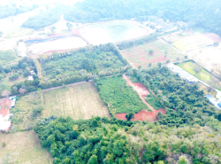 รถมือสอง อสังหาริมทรัพย์ ที่ดิน ปี 0 