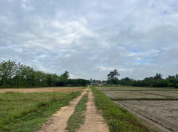 รถมือสอง อสังหาริมทรัพย์ ที่ดิน ปี 0 