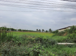 รถมือสอง อสังหาริมทรัพย์ ที่ดิน ปี 0 