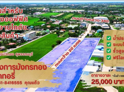 ขายที่ดินแปลงสวย ทำเลทอง โครงการมังกรทอง โซนบางบัวทอง - นนทบุรี 
