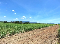 รถมือสอง อสังหาริมทรัพย์ ที่ดิน ปี 0 