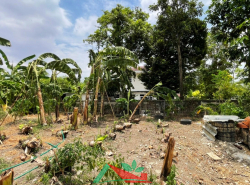 รถมือสอง อสังหาริมทรัพย์ บ้าน ปี 0 