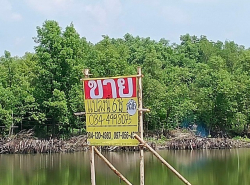 ขายที่ดินสวย ทำเลดี ติดถนนคอนกรีต เนื้อที่ 6ไร่   บ้านคลองสวน พระสมุทรเจดีย์ 